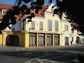 Hotel Traube Mediaş Dış mekan fotoğraf