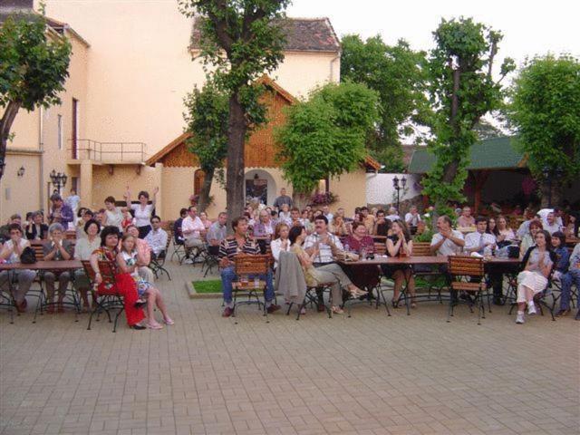 Hotel Traube Mediaş Dış mekan fotoğraf