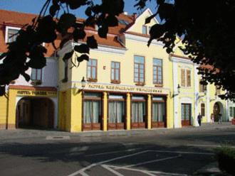Hotel Traube Mediaş Dış mekan fotoğraf